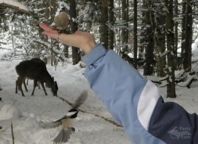 Photo by Ron Beaudette