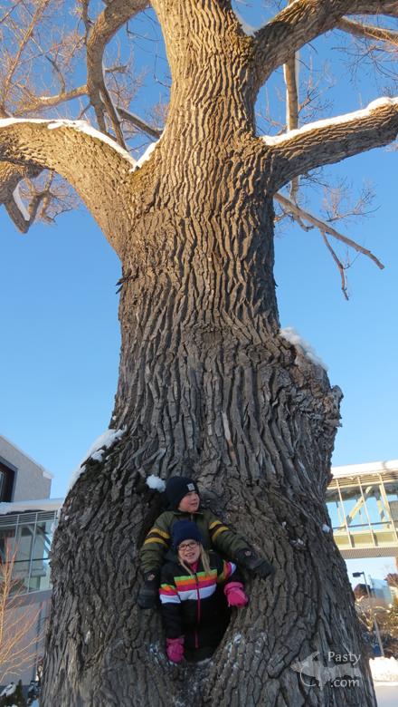 Photos by Emma Stout