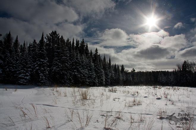 Photos by Frederick W. Koski