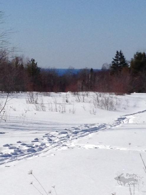 Photos by Liz Siivola