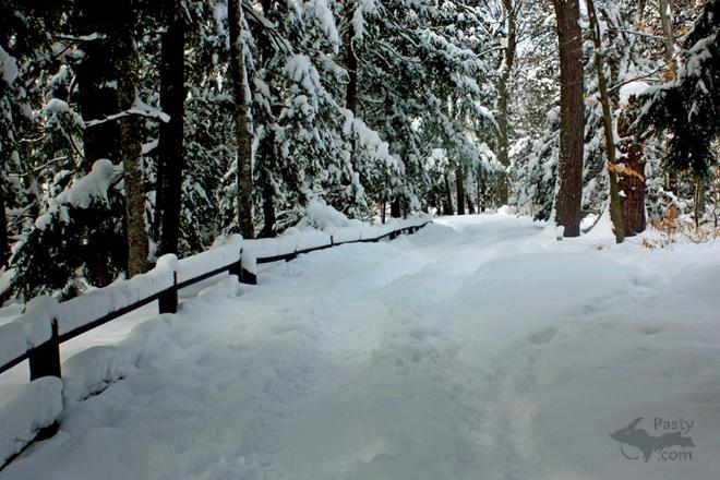 Photos by Cindy Freeman