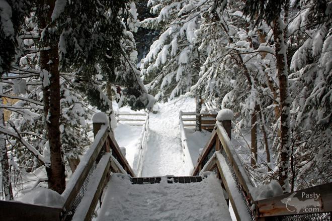 Photos by Cindy Freeman