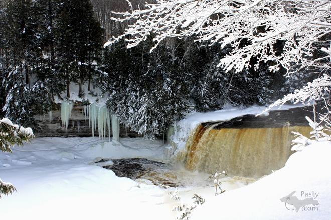 Photos by Cindy Freeman