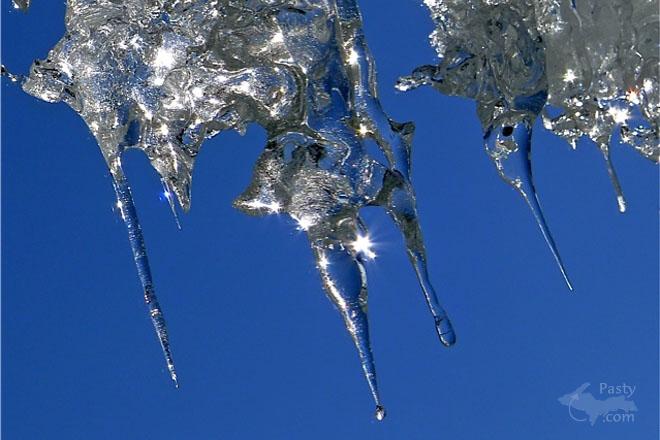 Photos by Joe Kirkish