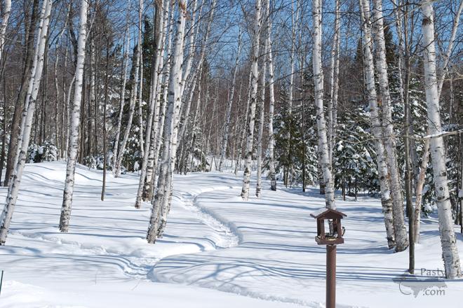 Photo by Joanie Sinkler