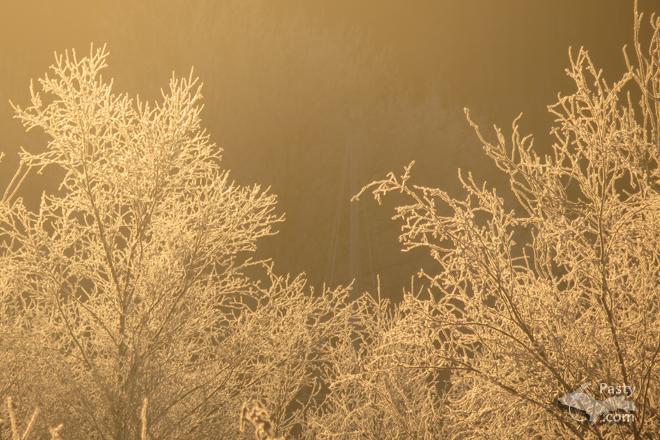 Photos by Emma Stout