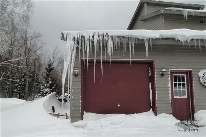 Photos by Frank Jezek