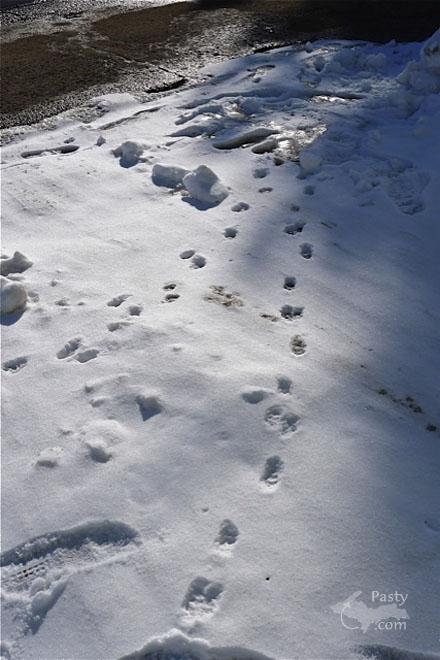 Photos by Joe Kirkish