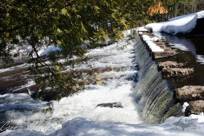 Photos by Connie Mandoli