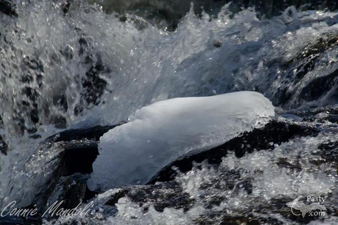 Photos by Connie Mandoli