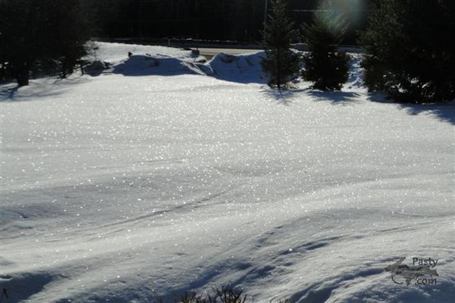 Photo by Frank Jezek