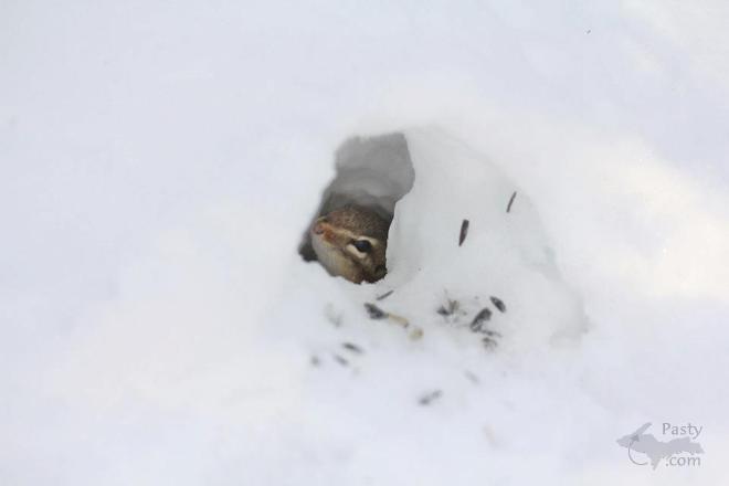 Photos by Melanie Hakala Rossi