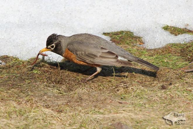 Photos by Melanie Hakala Rossi