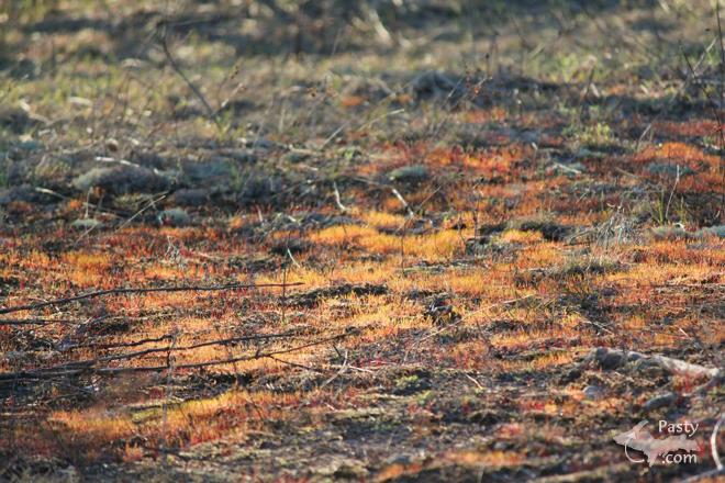 Photos by Melanie Hakala Rossi