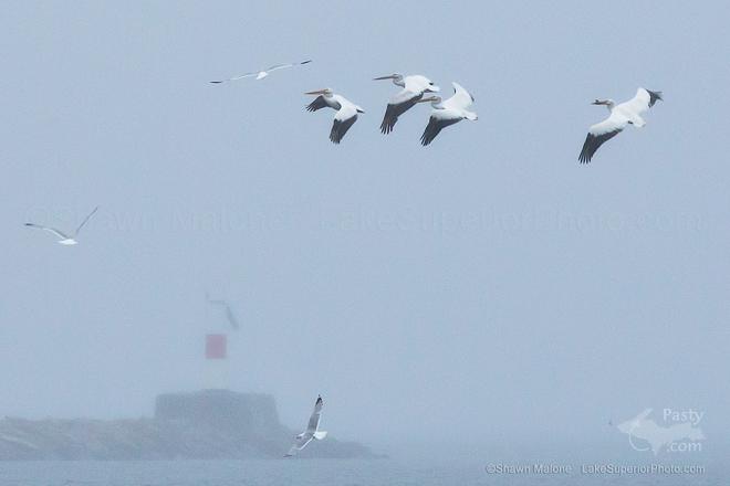 Photo by Shawn Malone