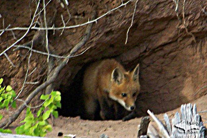 Photos by Janine Beveridge