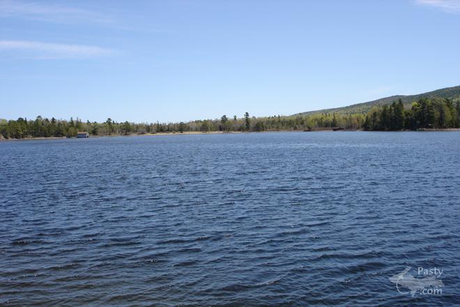 Photos by Bob Williams