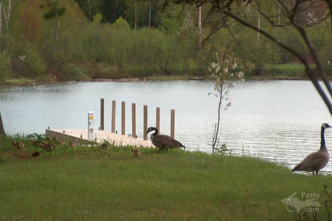 Photo by Marlin Wenberg