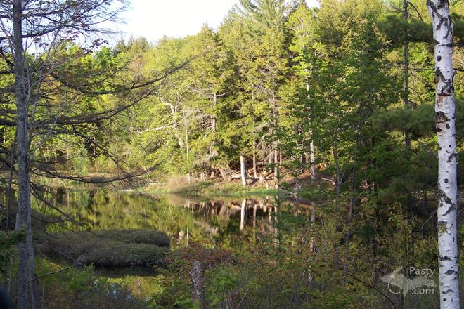 Photos by Marsha Galbraith