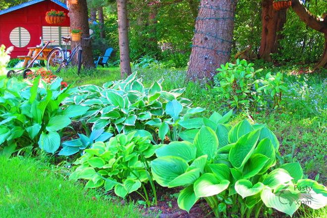 Photo by Chad Johnson