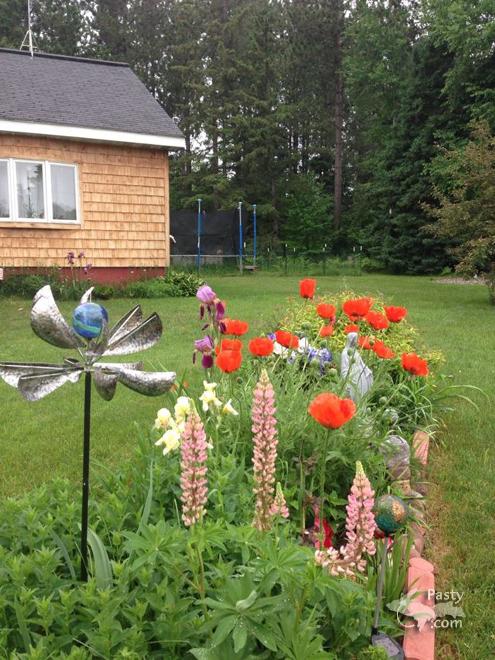 Photo by Judy Byykkonen