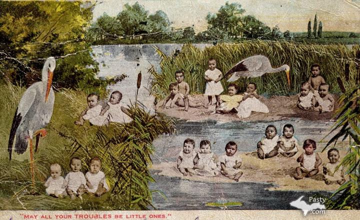 Barb Wenberg collection