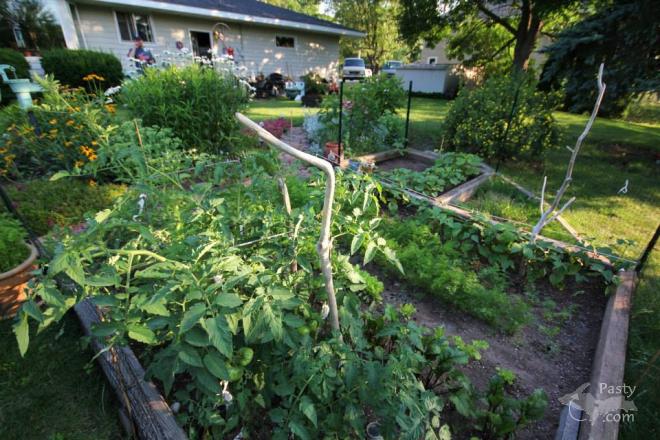 Photos by Melanie Hakala Rossi