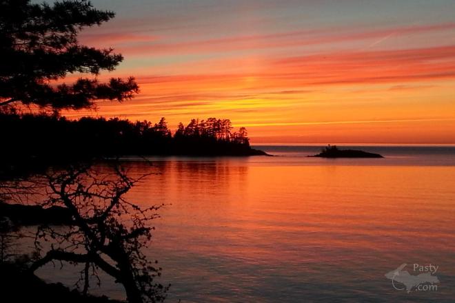 Photo by Ron Anderson