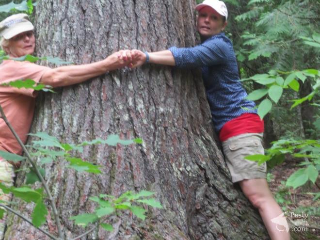 Photos by Molly Karjala