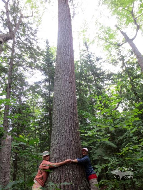 Photos by Molly Karjala