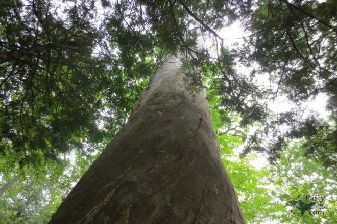 Photos by Molly Karjala