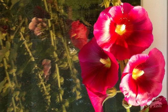 Photos by Kathy Archambeau