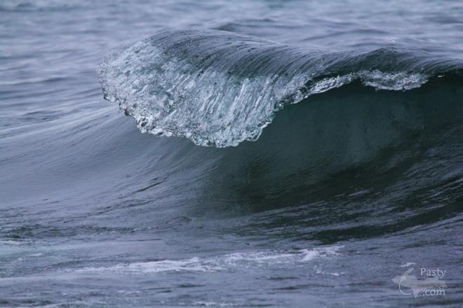 Photos by Melanie Hakala Rossi