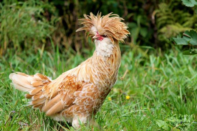 Photos by Melanie Hakala Rossi