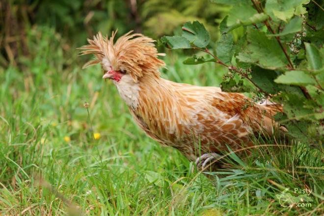 Photos by Melanie Hakala Rossi