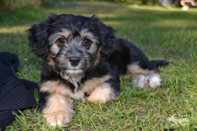 Photos by Judy Byykkonen