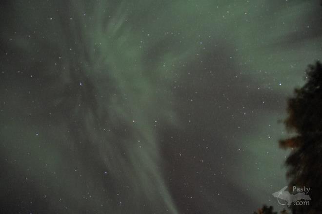 Photo by Bob Gilreath