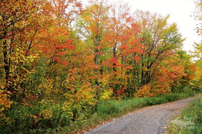 Photos by Bill Haller