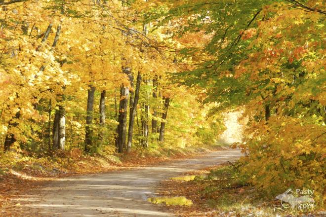 Photos by Marilyn Bachorik