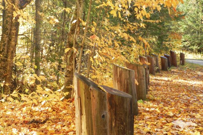 Photos by Marilyn Bachorik