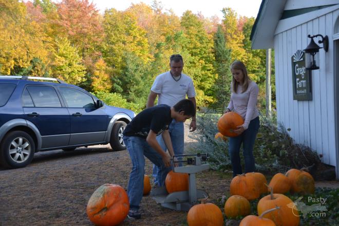 Photos by Judy Byykkonen