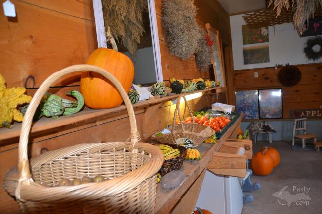 Photos by Judy Byykkonen