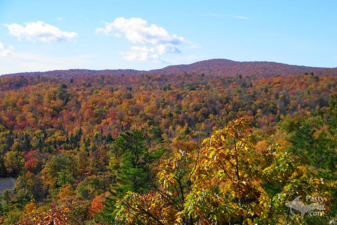 Photos by Deb & Ron Simons