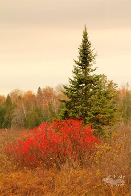 Photos by Melanie Hakala Rossi