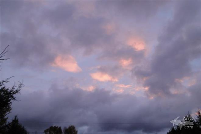 Photos by Frank Jezek