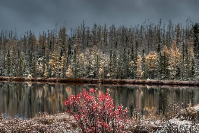 Photos by Aladino Mandoli