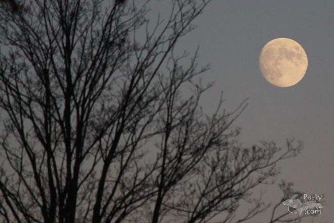 Photos by Melanie Hakala Rossi