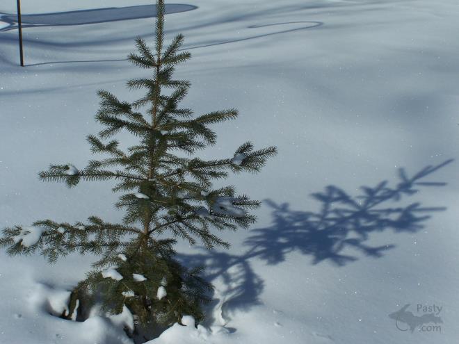 Photos by Brenda Leigh