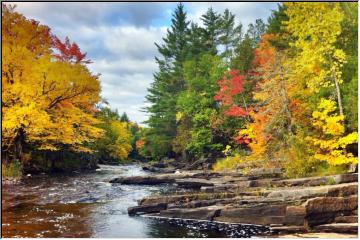 Fall along the river