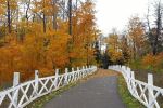 Beautiful walking trail